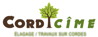Cordicime- Élagage et travaux sur corde en PACA